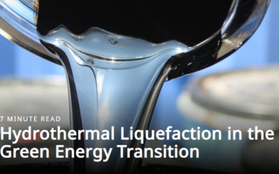 Hydrothermal Liquefaction in the Green Energy Transition