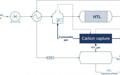 Techno-economic evaluation of carbon capture via physical absorption from HTL gas phase derived from woody biomass and sewage sludge
