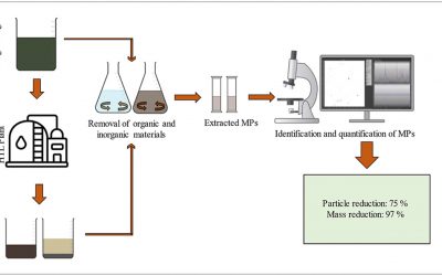 Microplastics degradation through hydrothermal liquefaction of wastewater treatment sludge