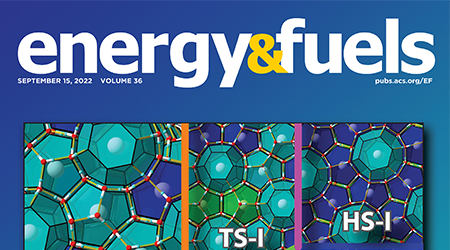 Understanding the Upgrading of Sewage Sludge-Derived Hydrothermal Liquefaction Biocrude via Advanced Characterization