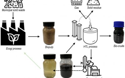 Hydrothermal liquefaction of pre-treated municipal solid waste (biopulp) with recirculation of concentrated aqueous phase